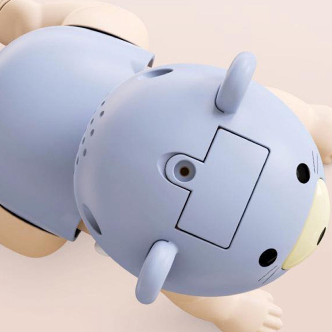 Baby Crawl Toy